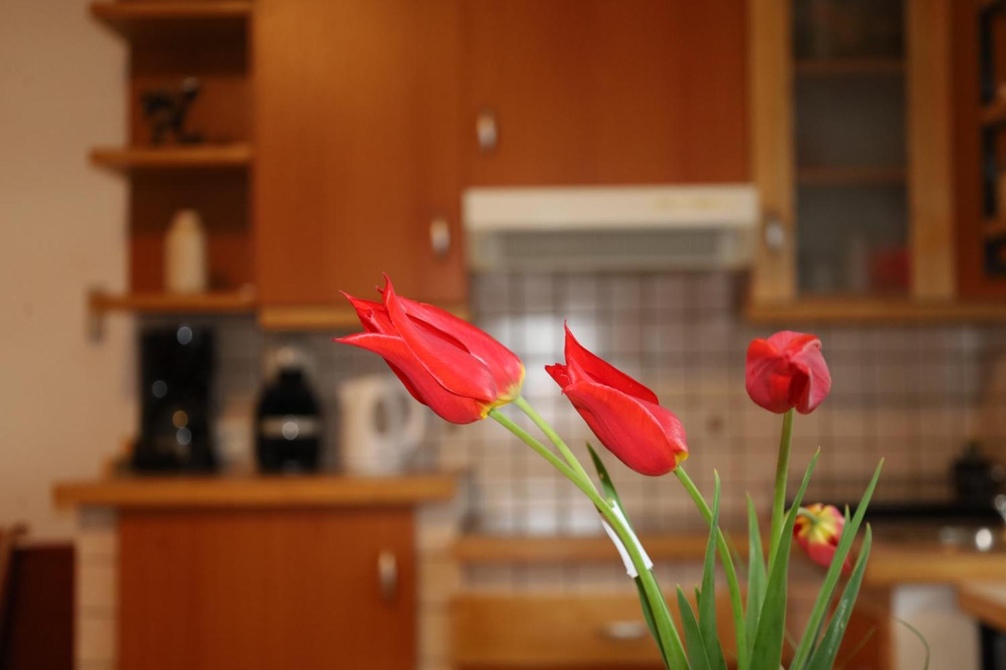 Norma Appartement