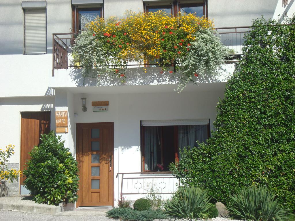 Appartement Norma